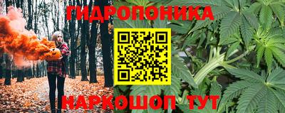 мдма Новодвинск