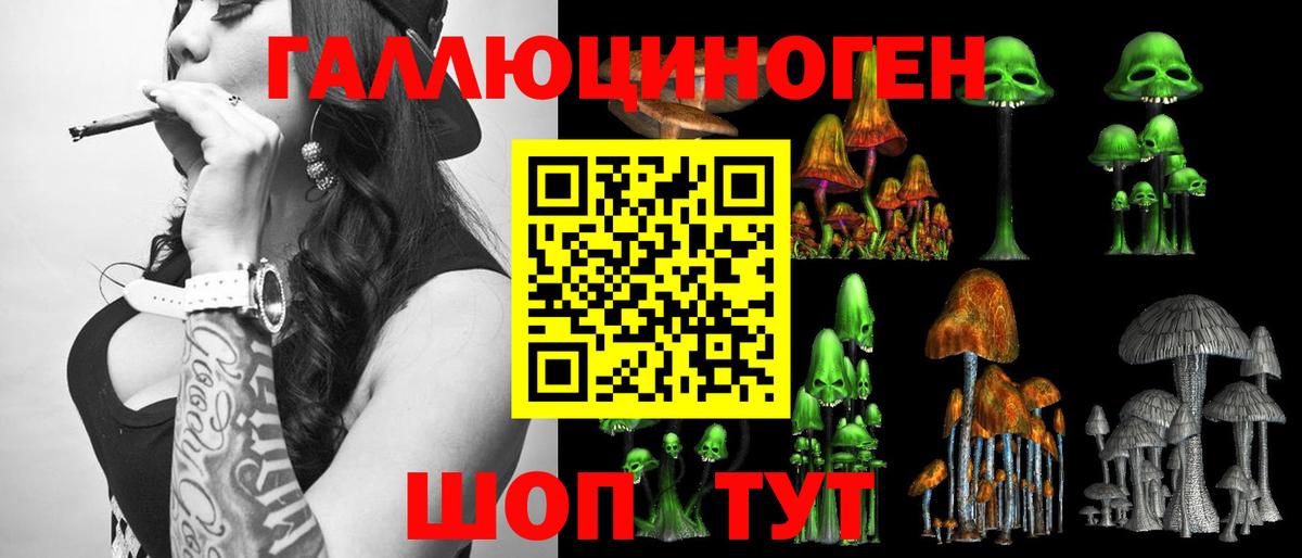Псилоцибиновые грибы Psilocybe  Псилоцибиновые грибы Psilocybe  Строитель  Вход с VPN 