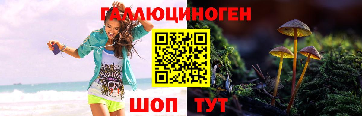Галлюциногенные грибы MAGIC MUSHROOMS Строитель